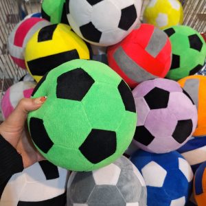 ۲۰۲۵۰۲۱۹_۱۸۱۷۴۸~2